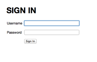 The sign-in form